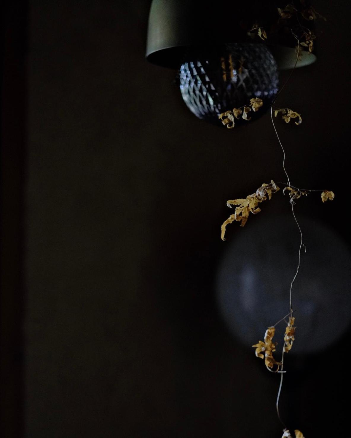 Dwell In Quemoy Homestay Jincheng Exteriér fotografie